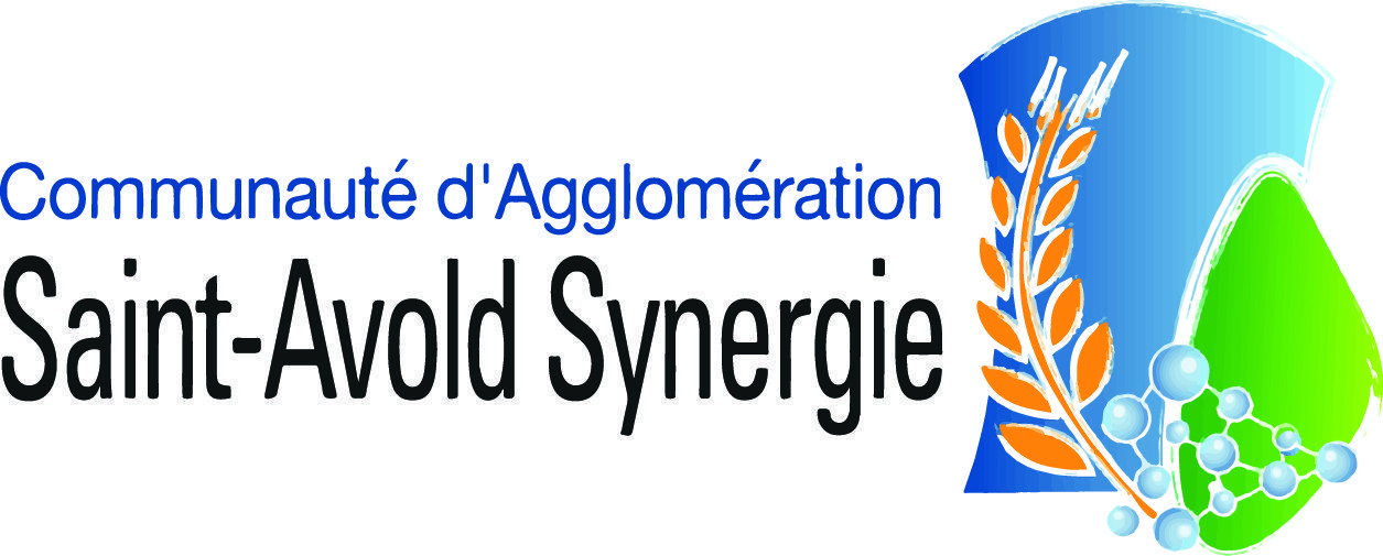 Saint-Avold Synergie