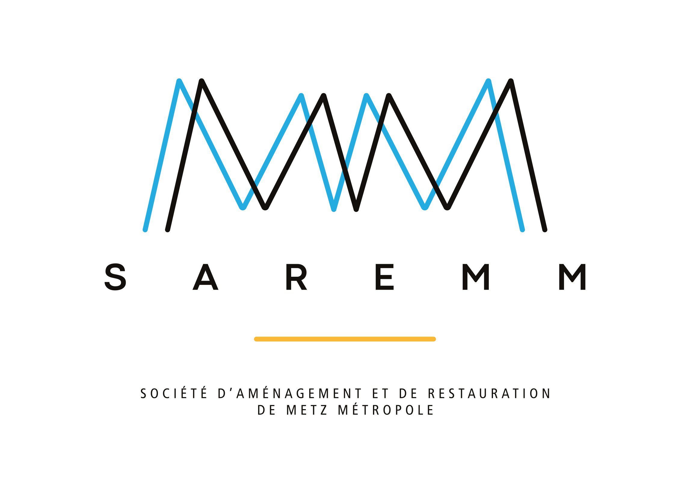 SAREMM