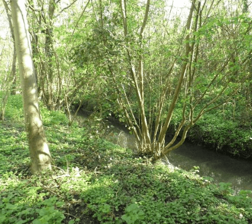 Gestion administrative et technique du projet de réalisation de la canalisation Marne