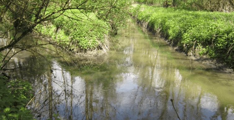 Gestion administrative et technique du projet de réalisation de la canalisation Marne